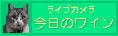 ̃C@oi[