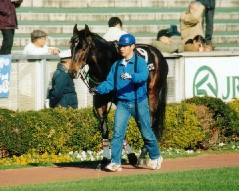 qCC!29/1/01