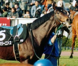 DcĊ̂!11/2/01