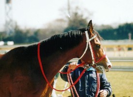 cII