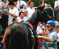 撣I