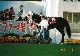 jegar110302_1_thumb.jpg
