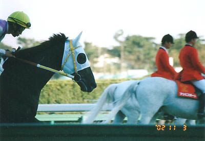 jegar110302_5.jpg