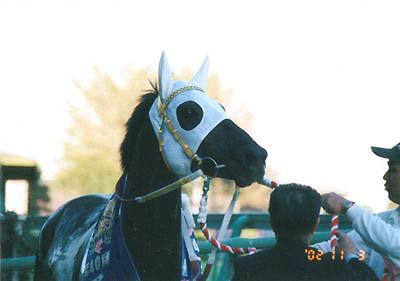 jegar110302_7.jpg