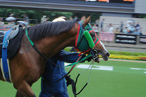 t~mu[XJC2006N61110RɐʃphbN_04
