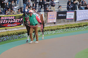 t~mu[XJC2006N2198RphbN_01