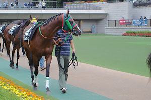 났i2006N1014t~mu[XJCj