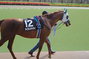 ӂӂӂӂ(2006N1015nCthgC)