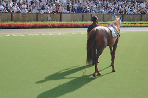 ӂӂӂ(2006N1015nCthgC)